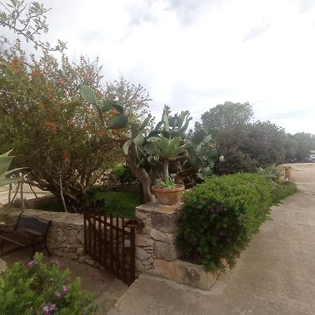 Casa Rural Es Cap De Barbaria San Francisco Javier エクステリア 写真