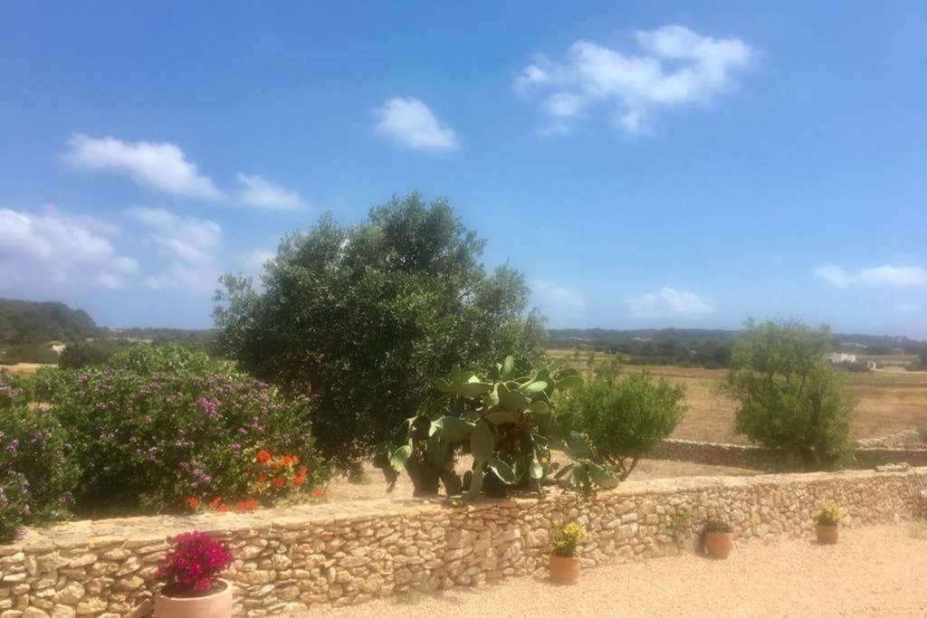 Casa Rural Es Cap De Barbaria San Francisco Javier エクステリア 写真