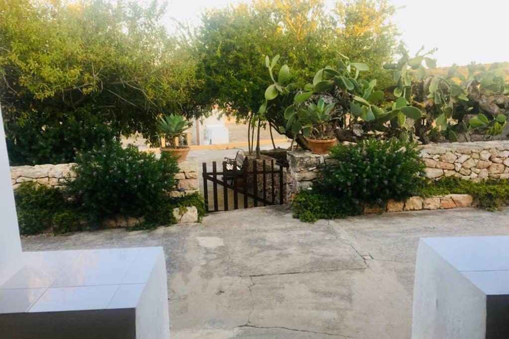 Casa Rural Es Cap De Barbaria San Francisco Javier エクステリア 写真