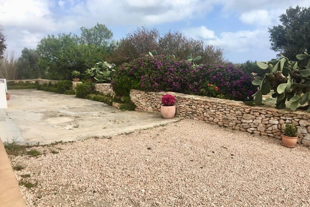 Casa Rural Es Cap De Barbaria San Francisco Javier エクステリア 写真