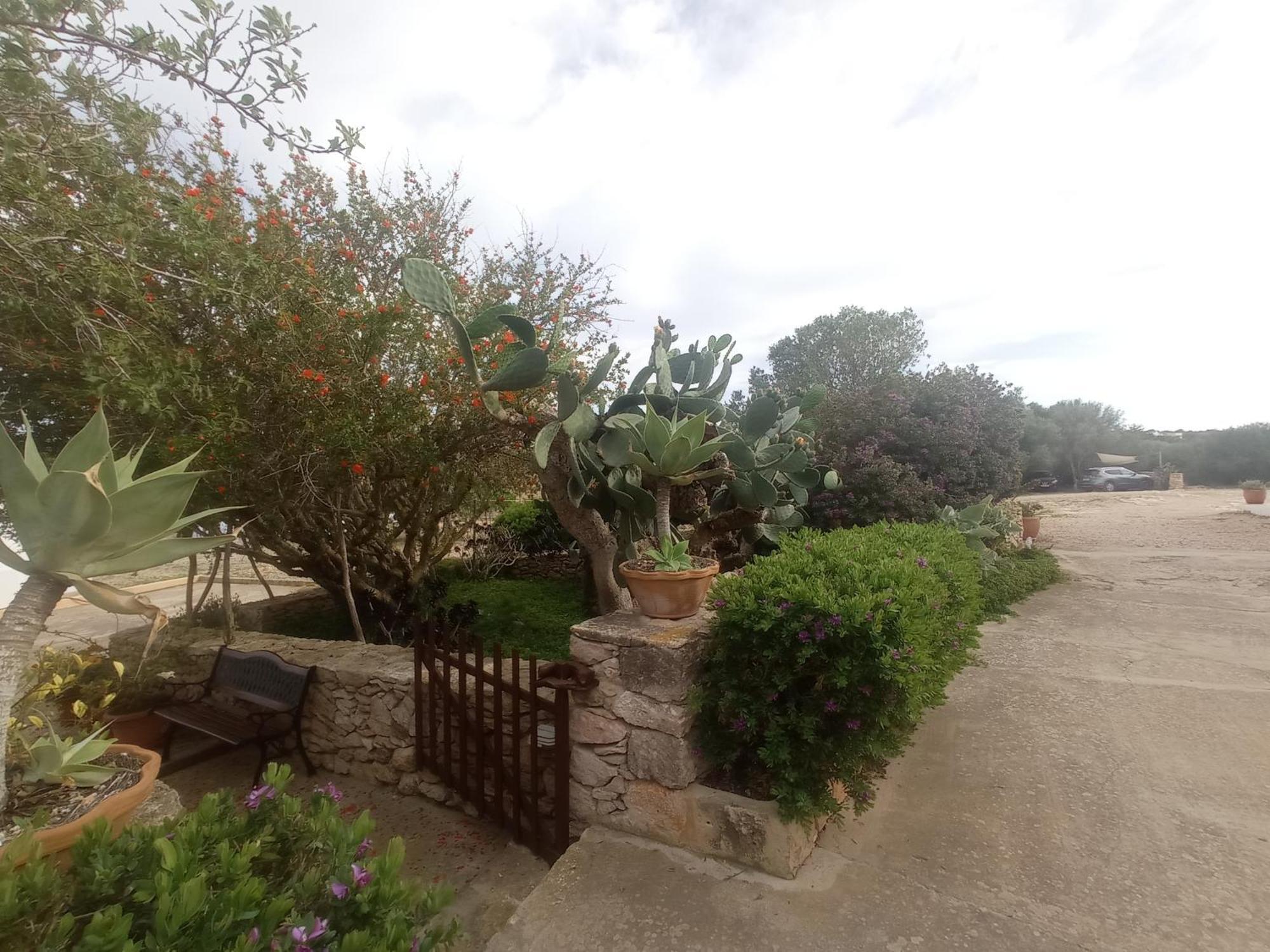 Casa Rural Es Cap De Barbaria San Francisco Javier エクステリア 写真